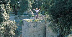 templi di selinunte